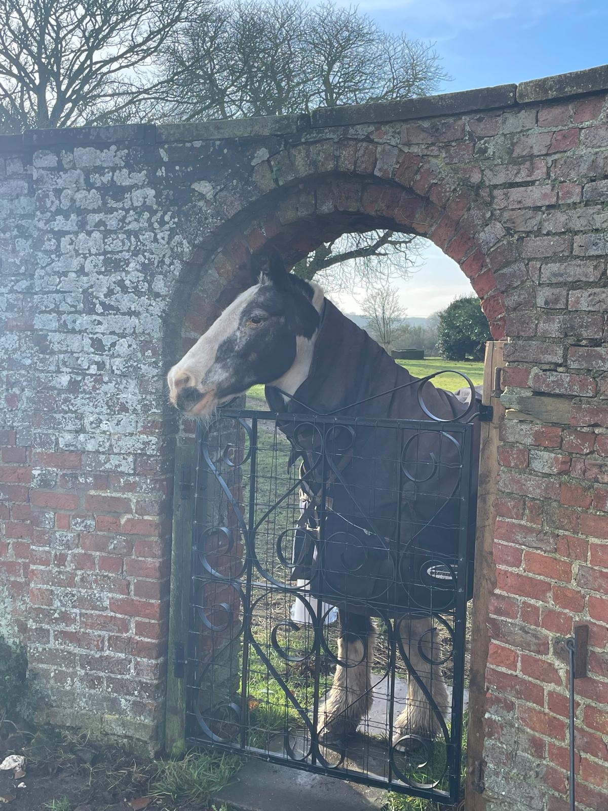 Tia and her gate